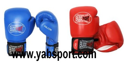 Gants FALCON Cuir BUDO FIGHT