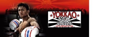banderole_yokkao.jpg